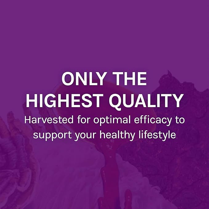 Host Defense MyCommunity Capsules - 17 Species Blend Mushroom Supplement for Immune Support - Herbal Aid with Lion's Mane Reishi. Chaga Cordyceps Turkey Tail &amp More - 60 Capsules (30 Servings)*