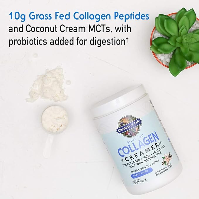 Garden of Life Grass Fed Collagen Creamer Powder - Creamy Vanilla 12 Servings Powder for Coffee Energy Beauty Joints Collagen Peptides with Coconut MCTs Keto Protein Supplements