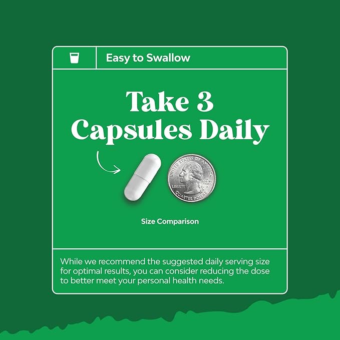 Bundle of Liver Support NAC Supplement with Milk Thistle for Liver Cleanse Detox &amp Repair and Ox Bile Salts for Gallbladder Support - Purified Bile Salts Pancreatin Digestive Enzymes Ox &amp Beta