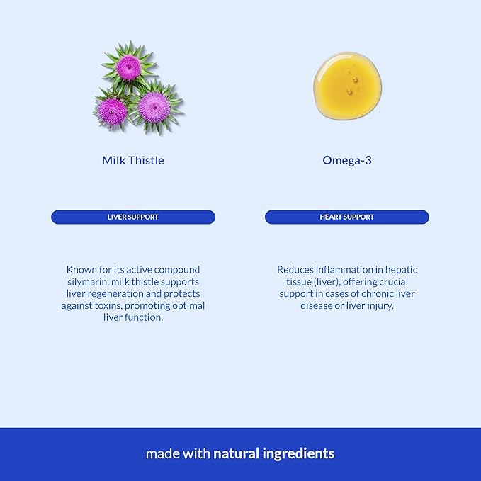 Milk Thistle for Dogs - Liver and Kidney Support - Hepatic Support with EPA &amp DHA - Detox - Liver Supplement with Choline and L-Arginine (Liquid for Dogs)