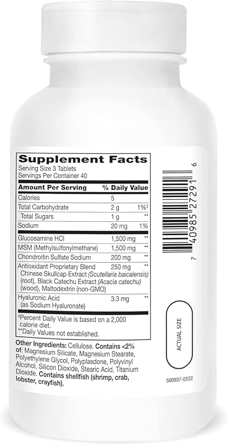21St Century Glucosamine Chondroitin Advanced with Msm - 120 Tablets (Pack of 3)