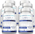 Approved Science GABA+ - Promote Calm Improve Sleep Boost Mood - GABA L-Theanine L-Arginine Vitamin B6 BioPerine - High Absorption - 360 Capsules - Vegan