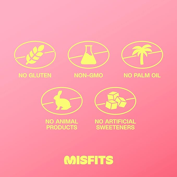 Misfits Vegan Protein Bars - Speculoos Cookie Butter | Nutrition Bars - 15g Protein 1g Sugar Plant-based Low Carb Non-GMO Gluten Free Snacks | Pack of 12