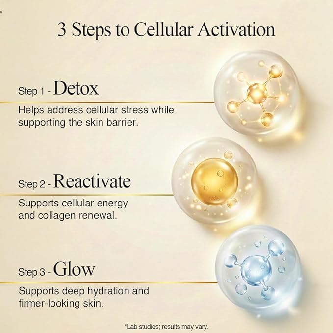 BI-SU Bird's Nest Essence Collagen Jelly Stick with Vitamin C Fish Collagen Peptides Anti Aging Maintain Skin Elasticity Immunity Support Japan Beauty Skin Care Secret Pineapple Flavor 7 PCS