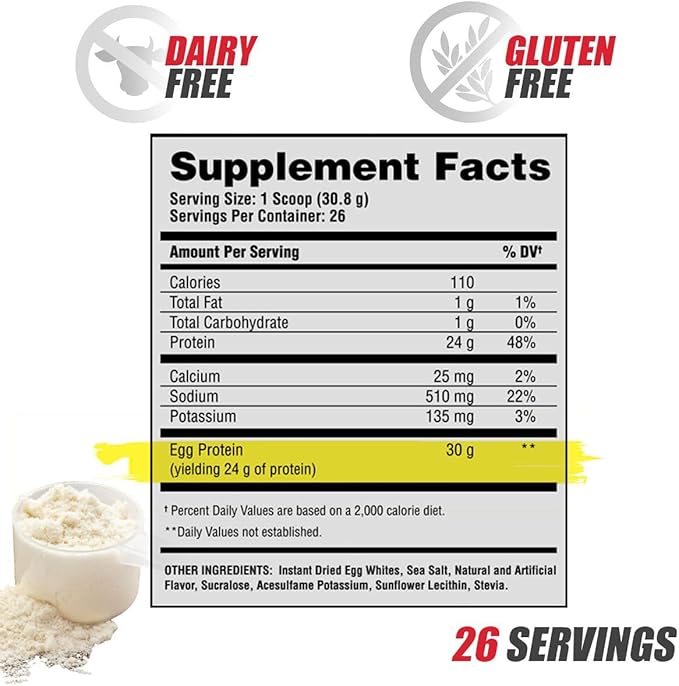 Apollon Nutrition Egg-Cellent | 24g Egg White Protein Powder Recovery Muscle Growth for Men &amp Women Dairy Free Gluten Free Lactose Free Keto-Friendly (Chocolate Marshmallow)