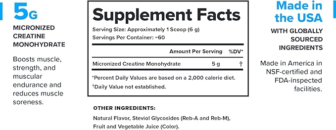 LEGION Micronized Creatine Monohydrate Supplement - Clean Creatine Powder for Muscle Gain &amp Post Workout Recovery - Micronized Creatine Supplement for Maximum Absorption (60 Servings Fruit Punch)