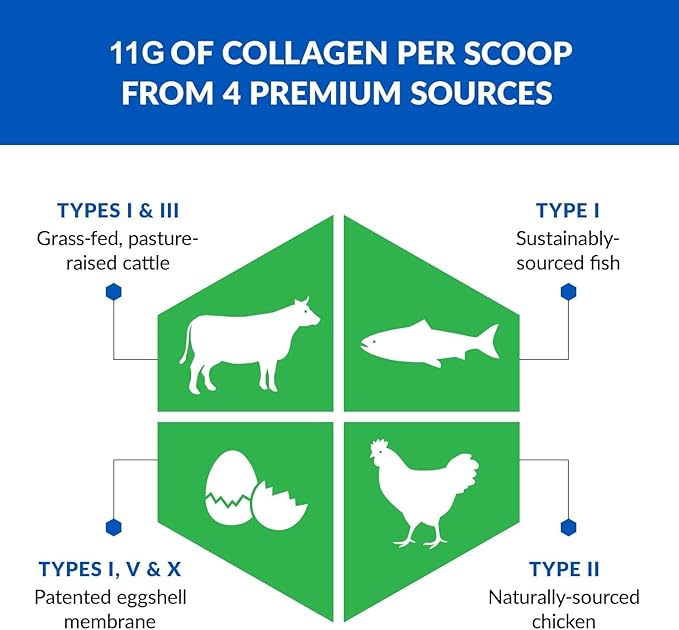 BioTrust Multi Collagen Protein Powder + Keto MCT Oil – 5 Types (I II III V X) &amp 100% Caprylic Acid C8 - Support Elevated Ketones Metabolism Joints &amp Beauty All in 1 Collagen Powder (Unf