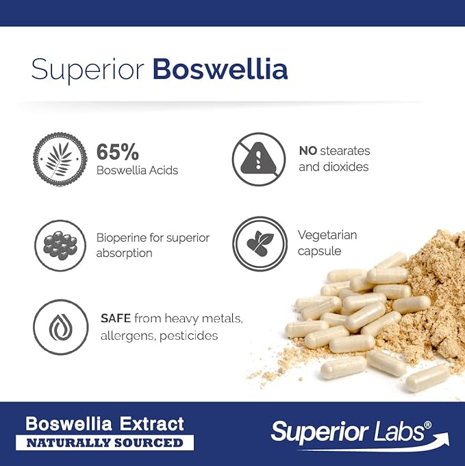 Superior Labs Boswellia Serrata Extract 500mg – 65% Boswellic Acids Pure Non-GMO Zero Fillers Indian Frankincense Supports Healthy Inflammatory Response &amp Joint Comfort – 240 Veg Caps