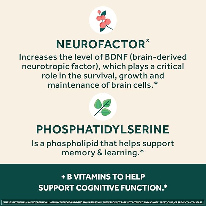 NEURIVA Plus Brain Supplement for Memory Focus &amp Concentration + Cognitive Function with Clinically Tested Nootropics Phosphatidylserine and Neurofactor VIT B6 &amp B12 30 Count Capsules (2 Pa