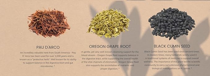 All In Nutritionals Agapé Herbals Gut Warrior