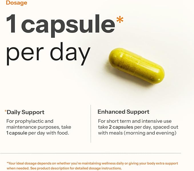 CDQZ - Quercetin Zinc Vitamin C Vitamin D3 - Immune Support - 120 Capsules - Plastic-Free Packaging