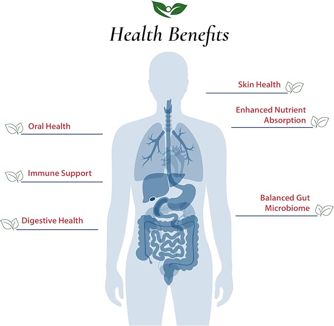 Foods For Gut Lactobacillus Johnsonii Probiotic Powder 100 Billion cfu's | No Additives | Direct from Manufacturer | No Third-Party Storage | Immune Support | L. Johnsonii | 30 Grams (1.05 Oz)