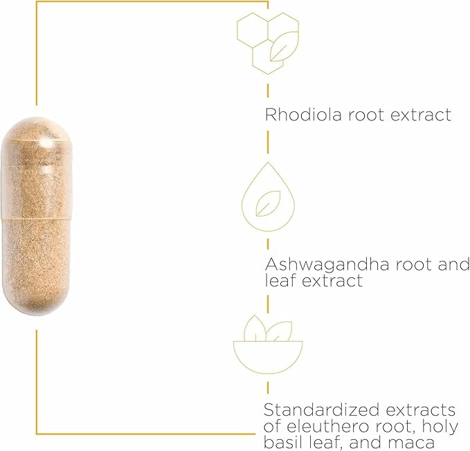 Integrative Therapeutics HPA Adapt - Adaptogenic Supplement for Stress Support* - Includes Ashwagandha Rhodiola &amp Other Adaptogenic Herbs* - Vegan Dairy-Free &amp Gluten-Free - 120 Capsules