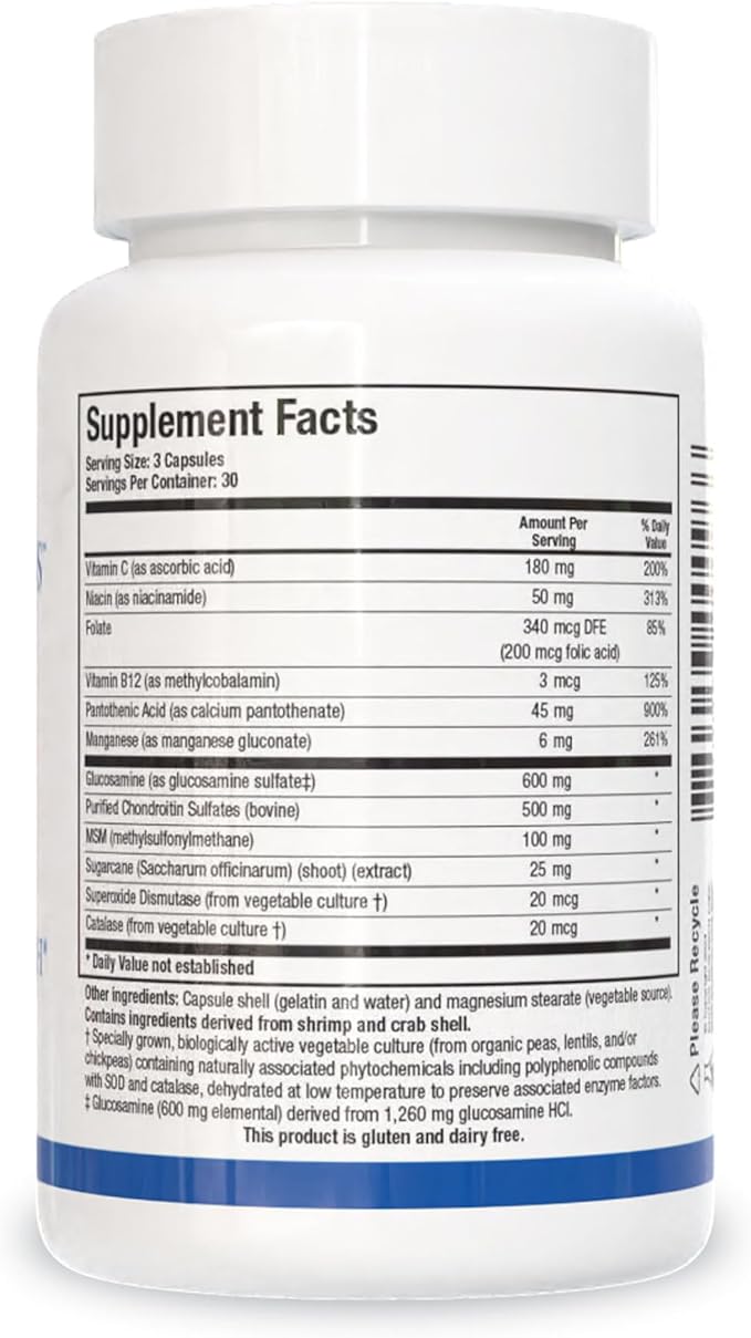 Biotics Research ChondroSamine S Comprehensive Joint and Connective Tissue Support 600 Elemental Glucosamine MSM Vitamin C Manganese Niacin Pantothenic Acid Folate B12 SOD Catalase 90 Caps
