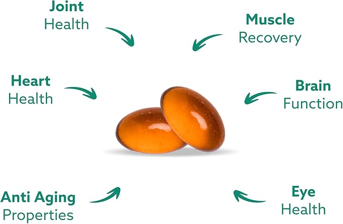 GLX3 Joint Support Extra Strength Omega-3 Supplement | Premium New Zealand Green Lipped Mussel Oil - Comfort Flexibility Muscle Recovery - ETA EPA DHA Omega 3 Capsules 2 Month