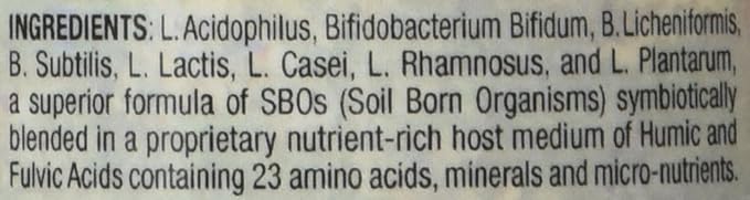 Body Biotics Bio-Identical SBO Probiotics Consortia Probiotic and Prebiotic Supplement Non-Dairy 90 Capsules