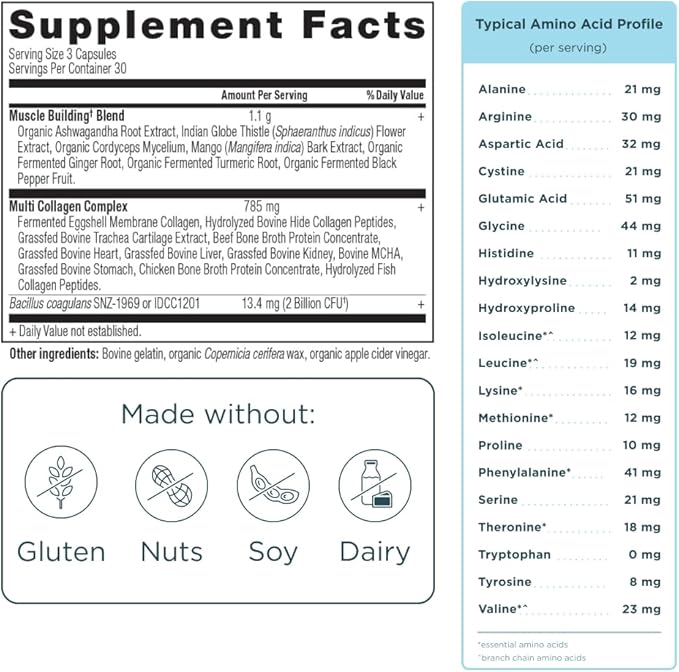 Ancient Nutrition Advanced Multi Collagen Protein Capsules Muscle 90 Count