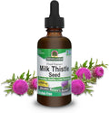 Nature's Answer Milk Thistle 2 Ounce Extract - Alcohol Free Non GMO Liver Support Supplement for Everyone - Liver Detox Made in USA