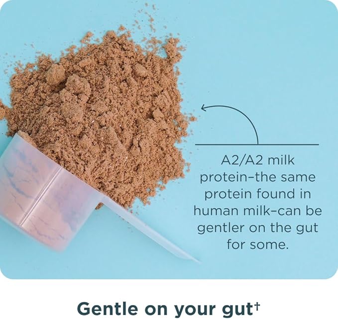 Ancient Nutrition Grass-fed Whey Protein Powder Milk Chocolate 20 Servings + Grass-fed Whey + Fat Loss Protein Powder Vanilla Cinnamon 20 Servings