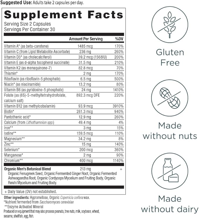 Ancient Nutrition Multivitamin for Men Men's Fermented Multivitamin with Methylated Vitamin A C D E K Zinc &amp Magnesium Immune Support Vegan 60 Ct