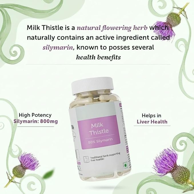 Milk Thistle Supplement with 800 Mg of Silymarin 60 Capsules