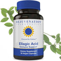 Rejuvenation Therapeutics High Potency Ellagic Acid Capsules 250mg | Improve Immunity &amp Eliminate Oxidative Stress | Premium Organic &amp Vegan | 30 Capsules 250 mg