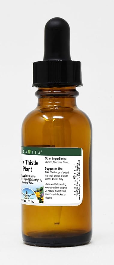 Milk Thistle Plant Glycerite Liquid Extract (1:5) - Chocolate Flavored (1 oz ZIN: 522735) - 3 Pack