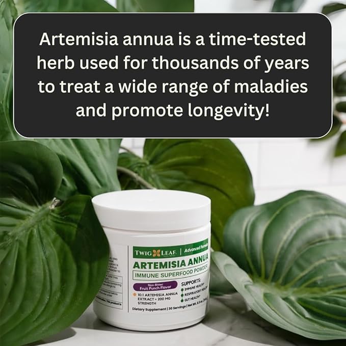 Artemisia Annua Sweet Wormwood Herbal Powder | Leaf Extract Brain Supports | Artemisinin Supplement | Sweet Wormwood Organic Extract | Non-GMO Vegan Gluten-Free | 30 Servings/8.5 Oz (240g)