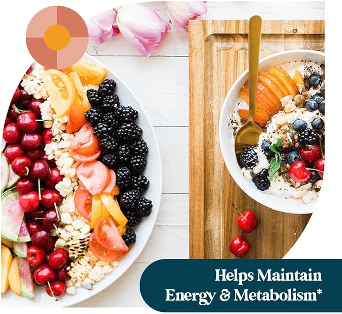Pattern Wellness Multivitamin for Men &amp Women – Vitamin A B C D E – Supports Energy &amp Wellness – Whole Body Health – Daily Multivitamin Supplement – 60 Vegan Capsules
