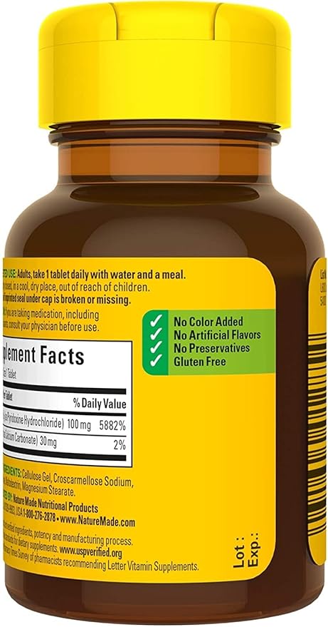 Nature Made Vitamin B-6 100 mg Tablets 100 ea (Pack of 4)