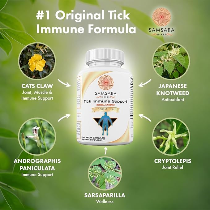 Samsara Herbs Tick Immune Support - Japanese Knotweed Cats claw Andrographis Cryptolepis Sarsaparilla Resveratrol Tick Bite Support 240 Capsules