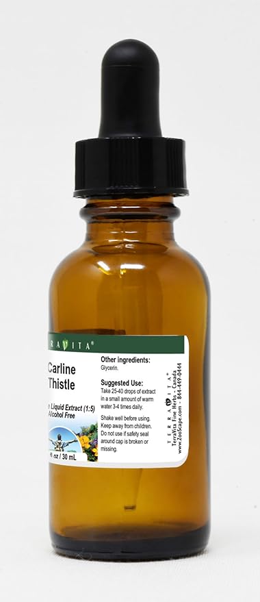 Carline Thistle Glycerite Liquid Extract (1:5) - No Flavor (1 oz ZIN: 523311)