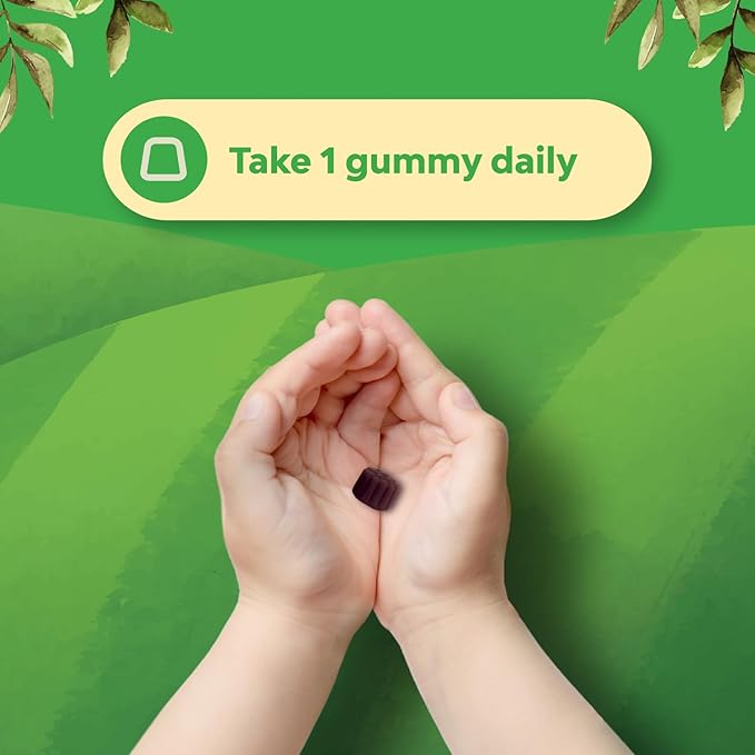 Bundle of Kids DHA Omega 3 Gummies - Fish Free with Vegetarian 6 9 for Vision Brain &amp Immunity and Sambucus Elderberry Gummies for Kids - Black Elderberry with Zinc &amp Vitamin C for Immune Supp