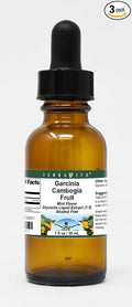 Garcinia Cambogia Fruit Glycerite Liquid Extract (1:5) - Mint Flavored (1 oz ZIN: 522511) - 3 Pack