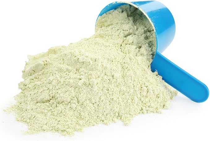 DrFormulas Lactose Free Whey Protein Isolate Powder with Lactase Organic Matcha with Vanilla Flavor 1 lb