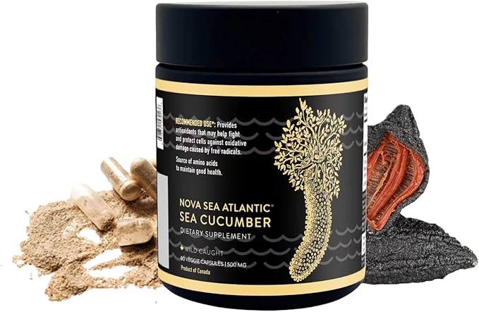 Sea Cucumber Supplement Wild Caught Sea Cucumber Capsules with Vitamins Mineral — Natural Antioxidant Supplement for Elderly Adult Child (60 Capsules)