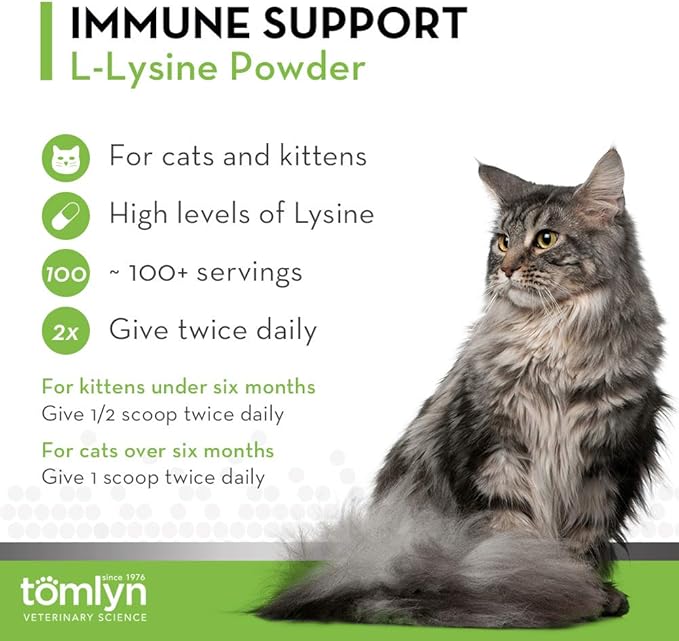 Tomlyn Immune Support Daily L-Lysine Supplement Fish-Flavored Lysine Powder for Cats and Kittens 4 Pack