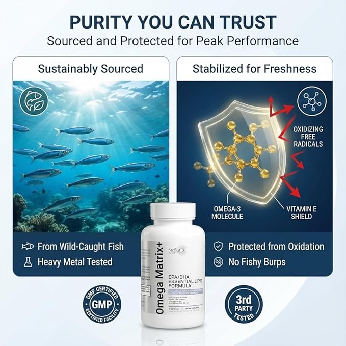 Omega Matrix+ Omega 3 Fish Oil Supplement 1000mg EPA DHA Omega 3 Fish Oil Omega 3 Supplements Brain Supplement Heart &amp Joint Support 100 Softgels