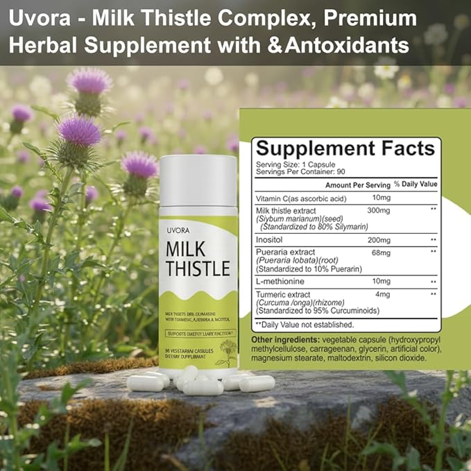 Uvora - Milk Thistle ExtractUvora Premium Herbal Supplement with Milk Thistle Extract &amp Antioxidants – Supports Natural ification &amp Healthy Digestion – 300mg 90 Capsules