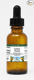 Terravita Carline Thistle Glycerite Liquid Extract (1:5) - Strawberry Flavored (1 oz ZIN: 523312) - 3 Pack