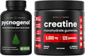Complete Muscle &amp Circulatory Support: Creatine Gummies &amp Pycnogenol Duo