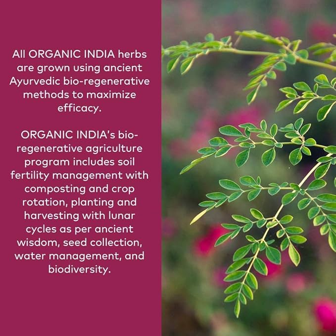 ORGANIC INDIA Ashwagandha Powder Organic - Ashwagandha Root Powder Bulk Herbal Supplement - Vegan Gluten-Free Kosher Non-GMO Supports Stress Relief Energy and Sleep - 1lb Bag