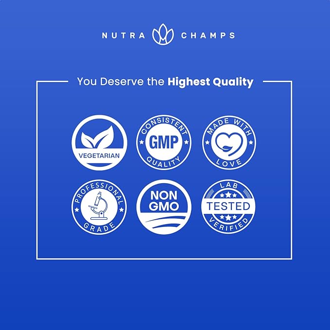 NutraChamps Multivitamin for Men 240 Count Vitamins A B C D E Biotin Zinc Mens Gummy Multivitamins Supplement Chewable Daily Multi Gummy Vitamins for Men (Pack of 2)