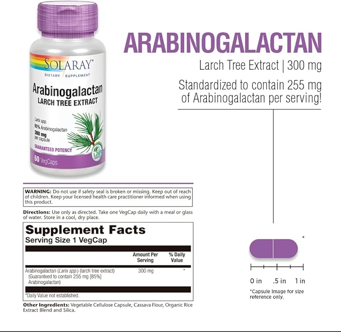SOLARAY Arabinogalactan Larch Tree Extract 300mg | Prebiotic Fiber for Healthy Gut &amp Immune System Support | 60 VegCaps