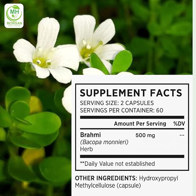 Brahmi Capsules | Bacopa Monnieri Extract | 500mg Each | Non-GMO Vegan Gluten-Free | Natural Herbal Supplement | 240 Vegetarian Capsules | Pack of 4 Bottle