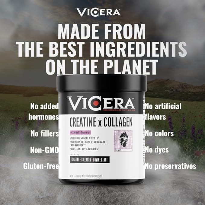 Chocolate Protein + Berry Flavor Creatine Collagen Powder A2/A2 Whey Casein Protein with Probiotics and Celtic Sea Salt (20 Servings) Creatine and Collagen Supplement Gluten Free (30 Servings)