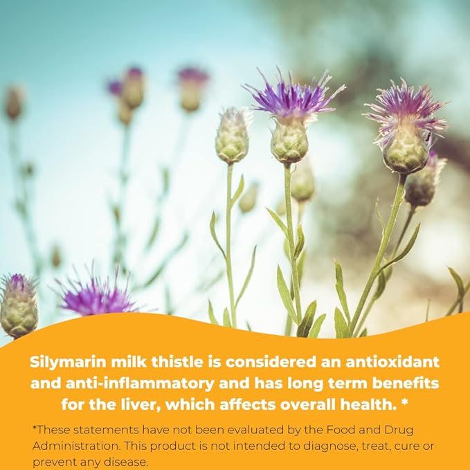 Wonder Labs Silymarin Milk Thistle Supports Healthy Liver Detox - 250 Capsules