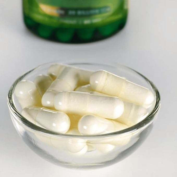 Swanson Probiotic for Digestive Health GI Tract Immune Support Travelers Support 20 Billion CFU with Prebiotic FOS 60 Veggie Capsules (Caps)