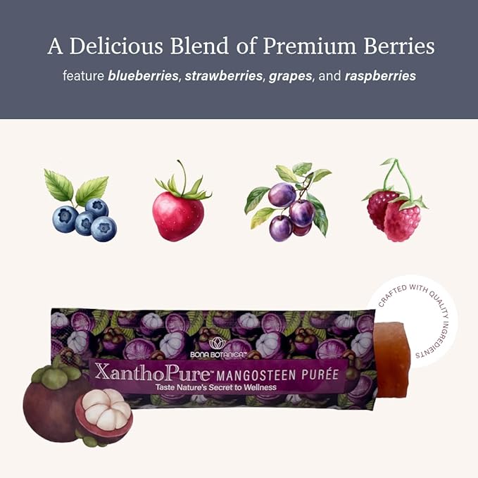 XanthoPure Mangosteen Puree | 30 Sachets | Plant-Based Antioxidant Jelly with Natural Nutrients | Delicious Vegan Whole Fruit Blend | No Added Sugar Fillers or Preservatives