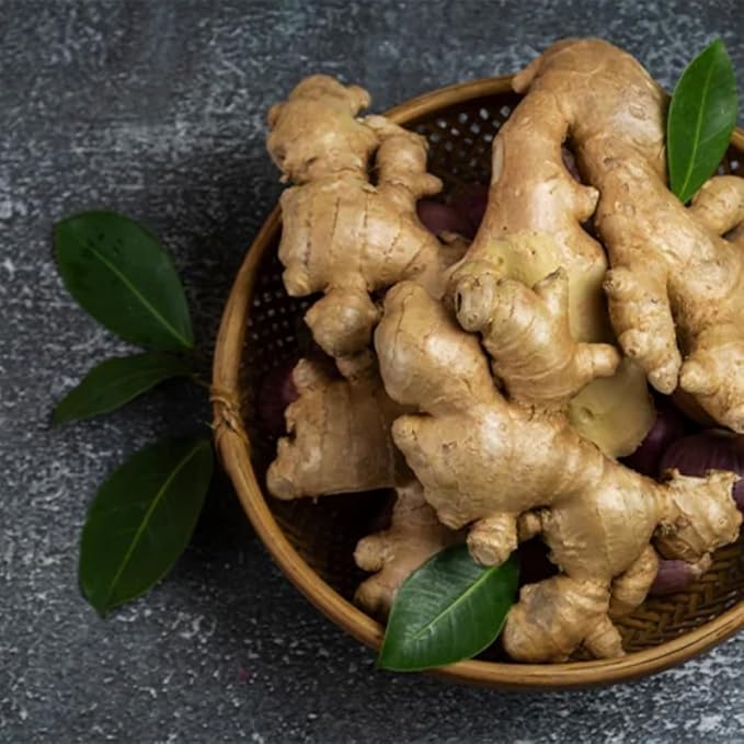 Ginger Honey Vinegar 500 ml